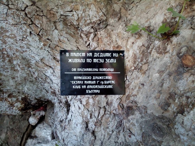 По стъпките на дедите ни в Мала Азия